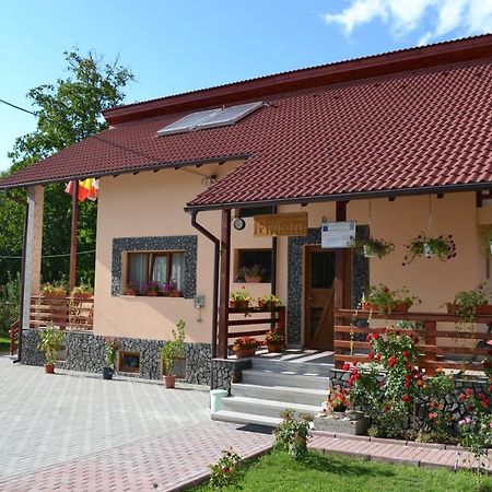 Arnota Villa Costesti  ภายนอก รูปภาพ