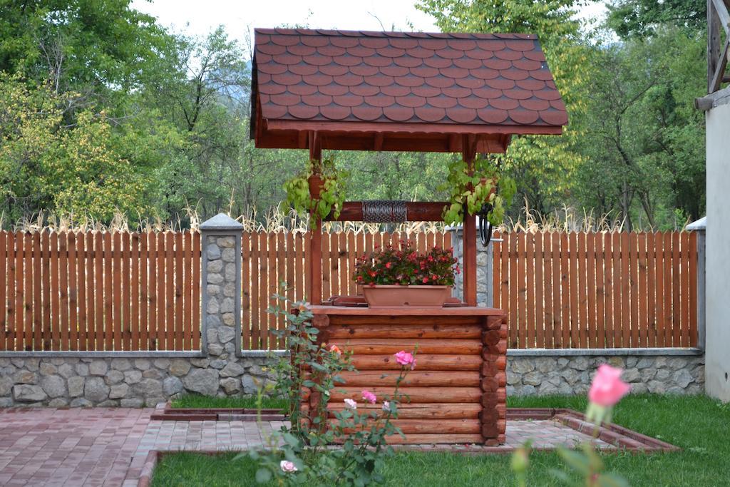 Arnota Villa Costesti  ภายนอก รูปภาพ